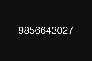 9856643027